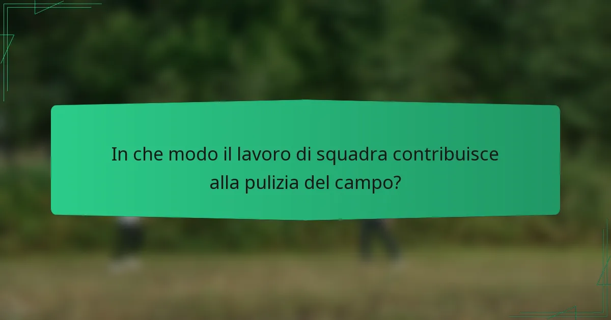 In che modo il lavoro di squadra contribuisce alla pulizia del campo?