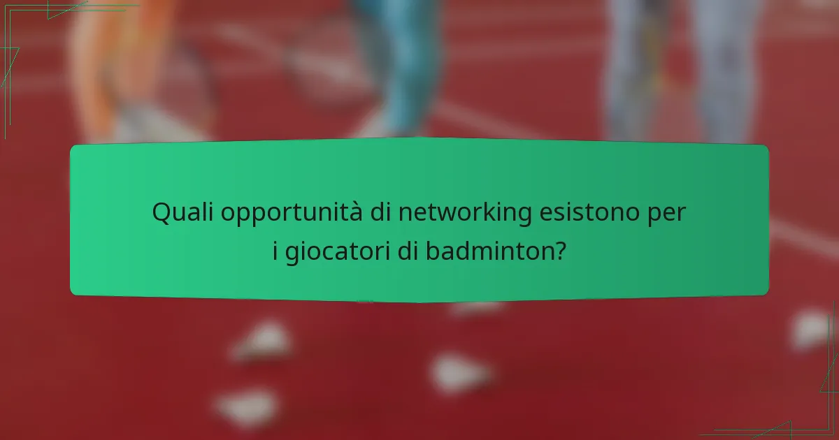 Quali opportunità di networking esistono per i giocatori di badminton?