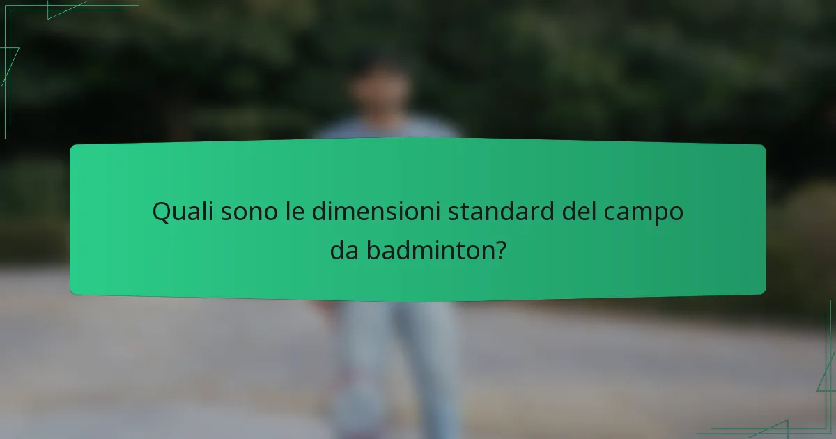 Quali sono le dimensioni standard del campo da badminton?